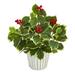 Nearly Natural 13 Variegated Holly Leaf Artificial Plant in White Planter with Silver Trimming (Real Touch)