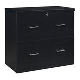 Latitude Run® Tykeem 2-Drawer Lateral Filing Cabinet Wood in Black | 28.5 H x 30 W x 17 D in | Wayfair 901D894F0E0E4BA1932C2900BF60F340