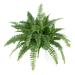 Nearly Natural Boston Fern (Set of 2)