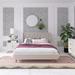 Novogratz Her Majesty Velvet Queen Platform Bed Upholstered/Velvet in White | 43.5 H x 64 W x 85.5 D in | Wayfair 4593139N