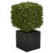 Nearly Natural 27 Boxwood Artificial Plant in Black Planter (indoor/Outdoor)