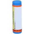 Hering Calcarea Carbonica Granuli 200 Ch Contenitore Monodose 1 g