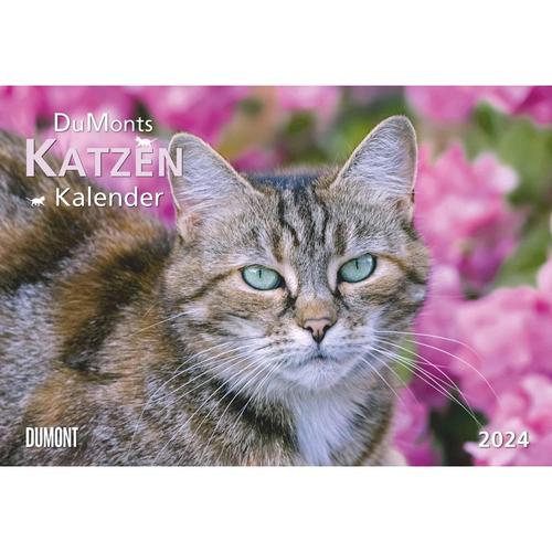 Kal. 2024 DuMonts Katzenkalender