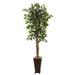 Nearly Natural 6.5 Ficus w/Decorative Planter