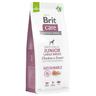 Brit Care Sustainable Junior Large Breed Pollo & Insetti Crocchette cane - 12 kg