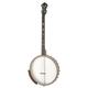 Gold Tone IT-19 Irish Tenor Banjo w/Bag