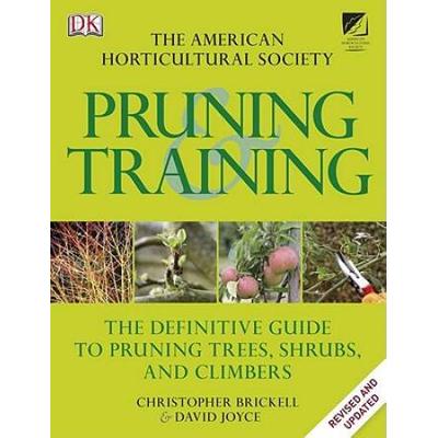 Pruning Training