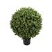 Primrue UV-Proof Outdoor Artificial Boxwood Topiary Ball W/Pot -Green Plastic | 29 H x 20 W x 20 D in | Wayfair A4AD7D16DA3842B6AC1AF4481CDE0169