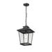 Red Barrel Studio® 1 -Bulb 16.3" H Outdoor Hanging Lantern Glass/Metal/Steel in Black | 16.3 H x 11.1 W x 11.1 D in | Wayfair