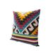 24 x 24 Square Cotton Accent Throw Pillow - Multicolor