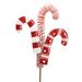 Christmas Three Candy Cane Stake Metal Stripes Stars C22012