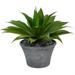 Nearly Natural 22 Agave Succulent Artificial Plant in Gray Planter