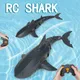 Robot baleine requin jouet pour enfants serpent télécommande requin jouets électriques RC animaux