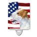 Carolines Treasures SS4031CNL USA American Flag with Jack Russell Terrier Ceramic Night Light 6x4x3 multicolor