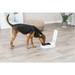Trixie Pet Products Automatic Feeder Plastic (affordable option) in Blue | 2.8 H x 9.4 W x 10.6 D in | Wayfair 24371