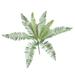 Artificial Silk Plants Cycas Decoration Artificial Cycas