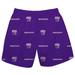 Youth Purple Western Carolina Catamounts Team Print Pull On Shorts