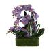 Creative Displays, Inc. Orchid Floral Arrangements in Pot Plastic/Polysilk in Indigo | 22 H x 22 W x 10 D in | Wayfair CDFL7116