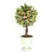 Primrue 14" Artificial Mistletoe Plant in Vase Polyester/Ceramic | 14 H x 8 W x 8 D in | Wayfair 4E50692B8CDF4EB4AFB9E3F0A103E7A9