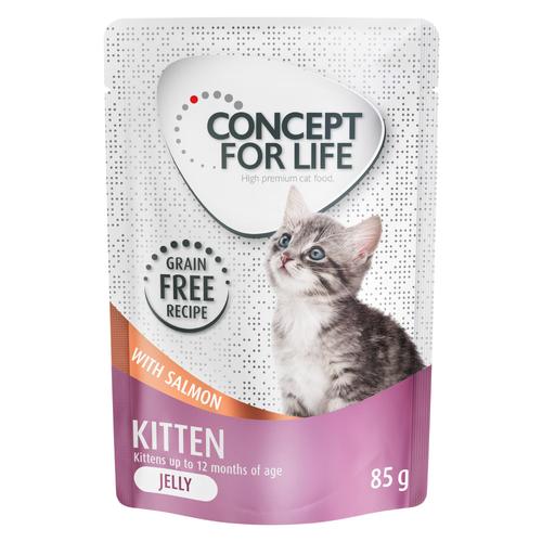 Sparpaket Concept for Life getreidefrei 48 x 85 g - Kitten Lachs - in Gelee