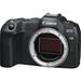 Canon EOS R8 Mirrorless Camera 5803C002