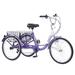 Meghna 26 inch Adult Tricycle Single Speed Tricycle 26 inch High Three Wheel Cruiser Bike 26 Wheels Large Basket for Unisex Seniors