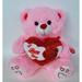 11 Pink Musical Bear with I Love You Heart and Light up cheek (1 Piece)