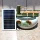 Pompe de filtre solaire pour sécuritaires à poissons extérieur filtre en surpoids pompe SubSN