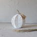 Foreside Home & Garden Decorative Pumpkin White Rope, Metal & Seagrass | 9 H x 6.75 W x 6.75 D in | Wayfair FDDD11083