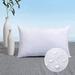 Alwyn Home Smoljanski Lumbar Rectangular Pillow Insert Polyester/Polyfill | 12 H x 24 W x 2 D in | Wayfair 533C74218F5D473AB91A498F17F4FC3A