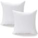 Eider & Ivory™ Norte Throw Square Pillow Insert Polyester/Polyfill | 22 H x 22 W x 2 D in | Wayfair 5B41BBB416B04991A80D0395648DAD71