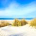 Highland Dunes Sand Dunes Beach - Wrapped Canvas Photograph Canvas in White | 36 H x 36 W x 1.25 D in | Wayfair 9D24EAF1837A4A0CA6022D229C36078B