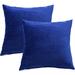 Everly Quinn Velvet Throw Square Pillow Cover Velvet in Blue | 24 H x 24 W x 2 D in | Wayfair 317A9490423246D68190668E796A463F