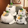 Natsume Yuujinchou Nyanko Sensei – chat en peluche dessin animé dessin animé oreiller jouet pour