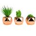 Primrue 3 - Piece Artificial Succulent in Decorative Vase Set Plastic/Metal | 7.5 H x 3.9 W x 3.9 D in | Wayfair 9618C2A5F1D646B685436D1B1ABC8768