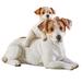 Red Barrel Studio® Jack Russell Terrier Mother & Pup Garden Statue Resin/Plastic/Stone in Brown/Gray/White | 7.63 H x 10.5 W x 5.12 D in | Wayfair