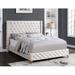 Willa Arlo™ Interiors Ong Tufted Low Profile Platform Bed Upholstered/Velvet/Metal in Brown | 56.5 H x 86 W x 86 D in | Wayfair