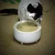Filtre de fontaine à eau automatique pour animaux de compagnie bol de clics muet électrique