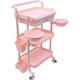Miumaeov 3 Tier Rolling Cart - Rolling Carts with Wheels - Makeup Organizer Cart 3 Tier 330.69 Lbs Spacious Beauty Salon Rolling Trolley with Dirt Buckets Drawers 360Â°Rotate Wheels Utility Cart (Pink