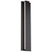 Revels 24"H x 5"W 2-Light Outdoor Wall Light in Black