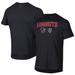 Men's Under Armour Black Lansing Lugnuts Tech T-Shirt