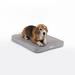 Diggs Snooz Memory Foam Crate Pad & Dog Bed Polyester/Memory Foam in Gray | 2.75 H x 19 W x 30.5 D in | Wayfair PAD020AAMG