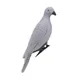 Leurre de pigeon 3D durable et réaliste appât de jardin pour la chasse équipement de tir en plein