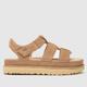 UGG goldenstar strap sandals in driftwood