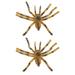 2Pcs Simulation Tarantula Toys Educational Spider Models Decorative Spider Toys