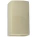 Ambiance 13 1/2"H Vanilla Rectangle LED Outdoor Wall Sconce