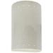 Ambiance 9 1/2"H White Crackle Perfs LED Outdoor Wall Sconce