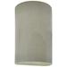 Ambiance 12 1/2"H Celadon Crackle Closed Outdoor Wall Sconce