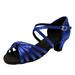 JDEFEG Womens Shoes Tan Heels Women s Fashionable Soft Sole Comfortable Non Slip Latin Dance Shoes Womens Dress Boot Tennis Shoes Womens Blue 39