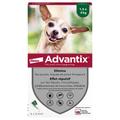 Advantix® très petit chien jusqu'à 4 kg - 12 mois de protection (2 x 6 pipettes)